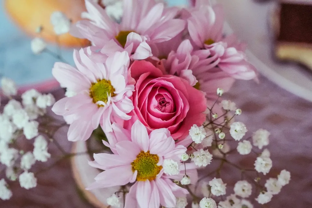 A close-up of pink and white flowers against a soft background.