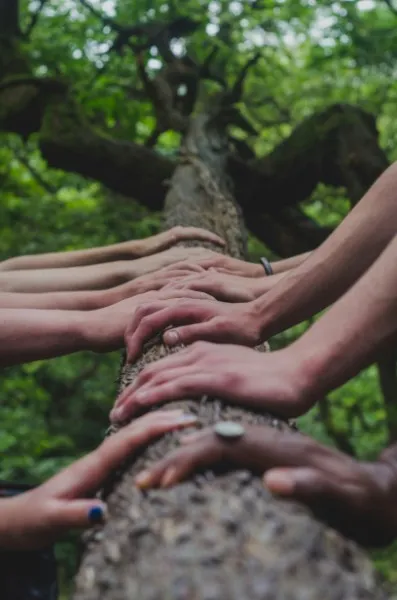 Many hands from different people resting together on a tree trunk