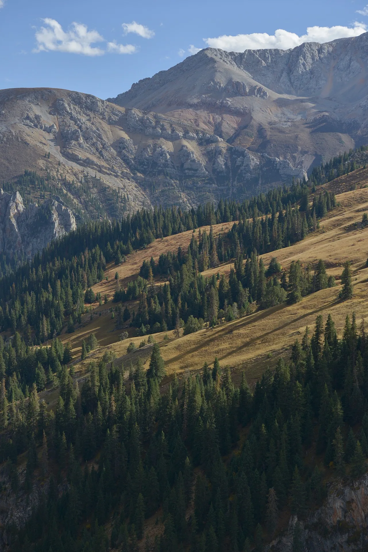 Sunlit mountain landscape